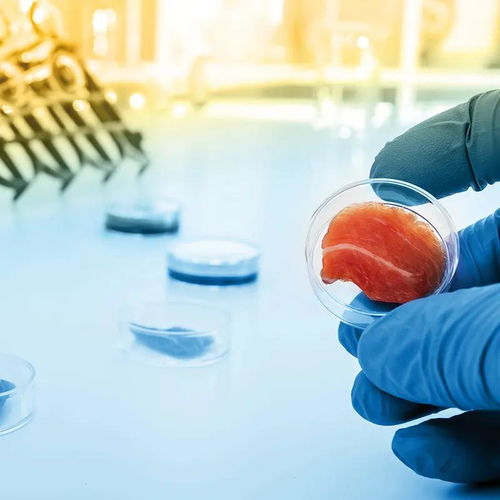 凱愛瑞發(fā)布2022全球風(fēng)味圖譜，帝斯曼成立新食品飲料事業(yè)部——有料Weekly技術(shù)交流