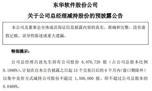 東華軟件總經(jīng)理呂波擬減持不超過150萬股，信息系統(tǒng)集成服務行業(yè)前景引關注